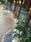 The Serene Patio of Altadena