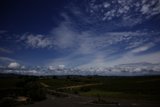 Breathtaking Vineyard Vista in Napa