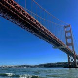 A Golden View of the Bay