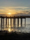 Serene Sunset at Bodega Bay