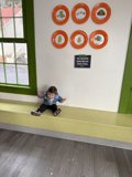 The Little Explorer's Window Adventure