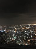Nighttime Metropolis