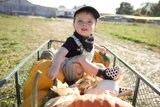 Harvest Adventure with Wesley