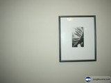 Art in the Modern Era