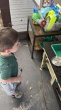 Curious Adventures