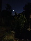 Lone Man in the Starry Night