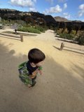 Exploring Nature's Path