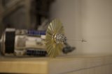 Metal Insect with Propeller