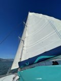 Sailing through the Golden Gate