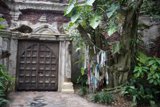 Enchanted Gateway: Disneyworld's Animal Kingdom, 2024