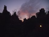 Mountain Sunset at Disney's Animal Kingdom
