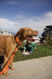 Day Out at Francisco Park with Wesley