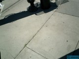 Shadow Play by the Sidewalk
