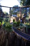 Whimsical Woodland Railway