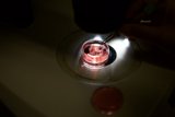 Illuminating the Glass Object