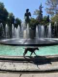 Serene Surroundings at Plaza Rio De Janeiro