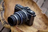 Camera on Wooden Bowl