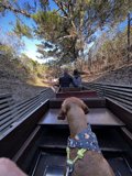 The Train Ride with Fido
