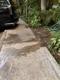 Urban Oasis: A Tranquil Moment in Waikiki