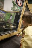 Childlike Wonder: Aquarium Discovery