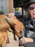 Stylish Woman with Vizsla in Santa Fe