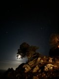 Moonlit Serenity