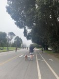 A Walk in Golden Gate Park