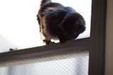 Ledge Adventurer