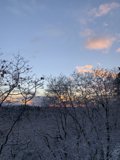 A Winter Wonderland