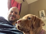 Man and Hound