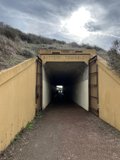 The Gatekeepers of the Battery Tunnel