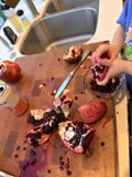 Pomegranate Exploration in the Kitchen