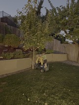 Child Playing in Backyard Garden with Toy Car