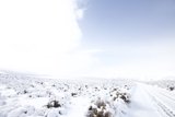 Winter Wonderland
