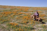 Field Day with Furry Friend