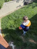 Springtime Curiosity