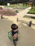 Exploring Nature's Pathways