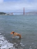 Fun in the Sun
