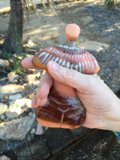 Small Object in Hand