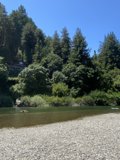 Serene River View with a Boat and Evergreen Trees