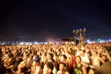 Festival Fever