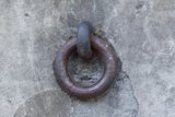 Serpent's Circle