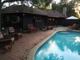 The Resort Life - A Canine's Paradise