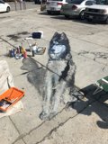 Canine Art at the Parking Lot