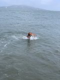 Frisbee Fun in the San Francisco Bay