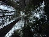 Reaching for the Sky