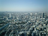 Tokyo's Urban Metropolis from High Above