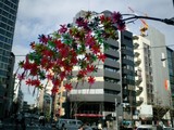 Colorful Paper Flowers in Akihabara Neighborhood