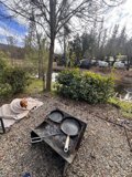 December Cookout, Canine Companion
