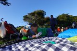 Picnic Day Delight